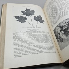 Handbook Of Nature-Study By Anna Comstock 1911 Published 1923