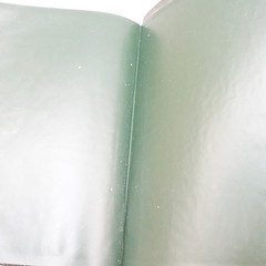Rare Kenneth Hagin Ministries Rhema KJV Study Bible Calfskin Green by Cambridge