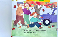 Apples and Pumpkins Book Lot of 12 Copies by Anne Rockwell Scholastic Children’s