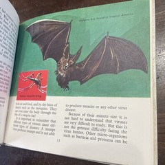 ROY NORRY, VIRUS HUNTER IN AUSTRALIA, SIR MACFARLANE BURNET. HARDCOVER 1966