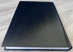 PEDOPHILIA and SEXUAL OFFENDING AGAINST CHILDREN 2008 Hardcover NO DUST JACKET