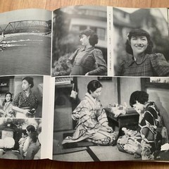 All about Hideko Takamine Japanese Movie Actress Photo Book 237 Pages 1990