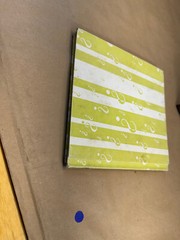 What is a Frog (The What is it series) 1957 Gene Darby Vtg Children’s book b