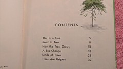 Gene Darby, WHAT IS A TREE (The What Is It Series) 1957, Ex-Library, HB, Child