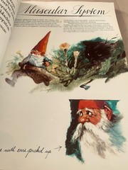Gnomes by Wil Huygen 1979 Vintage 1st Edition Illustrated Paperback Book 12×8.25