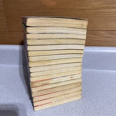 Animorphs Series K.A. Applegate Paperback Lot 17 Books VTG 90s Metamorphosis