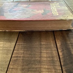 1959 THE RIFLEMAN Fannin Henry Luhrs TV Edition Western Cowboy Adventure Story