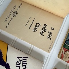 1960s Vintage Teen Romance Paperback Books Lot of 9 Young Adult Girls Fiction