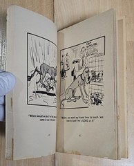 Marmaduke Rides Again! – Book SBS T1218 – Anderson & Leeming – English – 1971