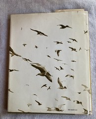 When the Whale Came to My Town by Jim Young (1974, Hardcover)