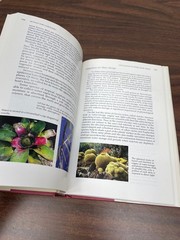 Botany for Gardeners Brian Capon 1990 2nd Printing Illustrated Timber Press
