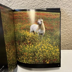 Signed Robert Vavra Unicorn Book Unicorns I Have Known w/ Grey Horses HCDJ VGUC