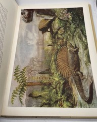 Prehistoric Animals J. Augusta-Z. Burian Vintage Dinosaur Book HC