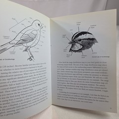 Backyard Birds of Virginia : How to Identify and Attract the Top 25 Fenimore PB