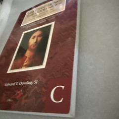 Have You Heard the Good News? Cycle C: Reflections on the Sunday Gospels