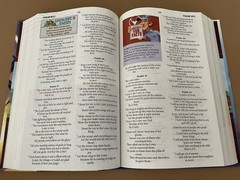 NIRV, ADVENTURES IN ODYSSEY BIBLE By Gary Locke & Sergio Cariello – Hardcover
