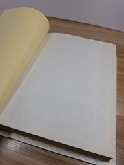 Holy Bible Fireside Family Edition King James Version 12”x9&1/2”x2&12”