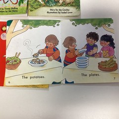 Sunshine Kindergarten Reader 10 Book Lot Level A-C Rigby Wright