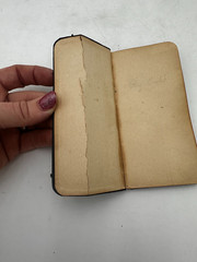 1895 TRUE FIRST EDITION Vest Pocket Companion Christian Workers RA Torrey REVELL