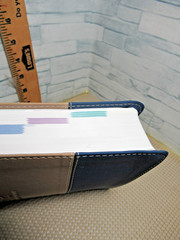 Faith Alive Student Bible ESV / Soft cover / Imitation leather / 2011