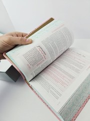 NIV True Images Teen Girls BIBLE Pink Leathersoft