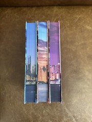 Cover to Cover The Windy City Series Liz Tomforde Mile High Right Move Caught Up