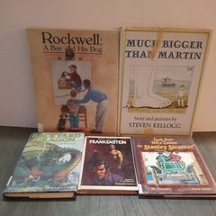 Lot of 10 Mixed Random Children’s Books and Young Adult Novels, Classic Stories