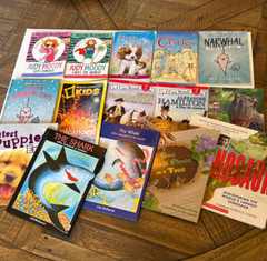 Children’s Books Mixed Lot of 15 Grade K, 1, 2, 3, 4