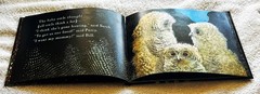 Owl🦉Babies📘Candlewick📀Storybook🥚Animations Book +DVD Martin Waddell FreeShip