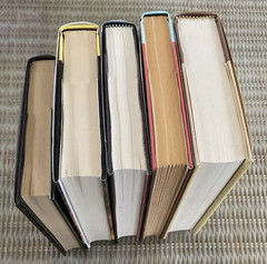Lot of 5 Hardcover Mystery & Fiction novels various authors see photo for titles