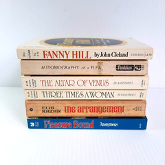 Vintage Pulp Erotica Lot of 6 Adult Paperbacks 60s & 80s, Fanny Hill, Flea