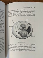 Reptiles and How They Reproduce HCDJ Dorothy Hinshaw Patent First Edition 1977