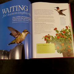 The Best of Birds & Blooms 2012 Hardcover Nature Book 255 Pages Illustrated