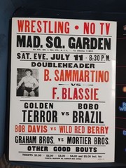 WWE: THE ULTIMATE POSTER COLLECTION (2015) Missing 1 Page (2 Posters)