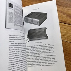 Sara De Bondt & Fraser Muggeridge—THE FORM OF THE BOOK BOOK—2009—Occasional—UK