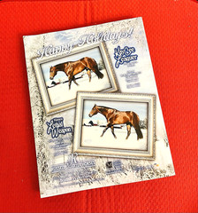 SALE ENDS 6/15! 2008 Quarter Horse Journal STALLION EDITION Book, PEPTOBOONSMAL