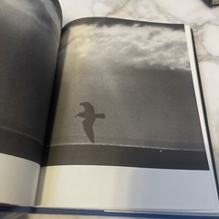 1970 VTG The Macmillan Company, by Richard Bach, Jonathan Livingston Seagull