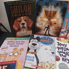 Lot of 12 Chapter Books for Tween BOYS