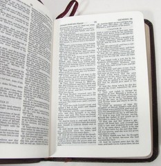 Nelson KJV The Smallest Holy Bible 104BG Burgundy Genuine Leather Box Magnifier