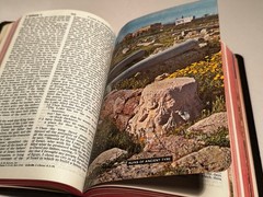 THE HOLY BIBLE RSV 1971 vintage Collins World Red Letter Edition with helps