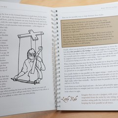 The Viol Rules: A Notebook by Alison Crum