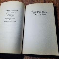 That Was Then This Is Now S.E. Hinton 2003 Paperback Fiction Speak