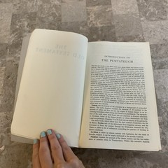 The Jerusalem Bible Reader’s Edition Paperback Book 1968 Doubleday 1960s Vintage