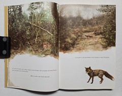 Rien Poortvliet: … und jeder Fuchs hat seinen Bau, Kosmos 2001, HC