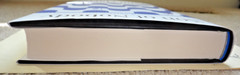 Yann Martel SIGNED Son of Nobody (2026, Hardcover)