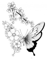 Best Butterfly Coloring Book with Floral Wings 108 Pages 8.5 x 11 for All Ages