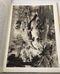 Prehistoric Animals J. Augusta-Z. Burian Vintage Dinosaur Book HC