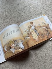 Warm As Wool (Aladdin Picture Books) by Scott Russell Sanders LIKE NEW