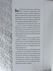 Heather Morris, The Tattooist of Auschwitz; Cilka’s Journey
