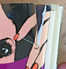 Torch Song Trilogy by Harvey Fierstein author signed book 1983 nice autograph